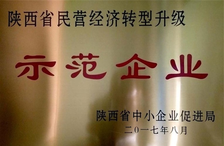 陜西省民營經(jīng)濟轉型升級示范企業(yè)